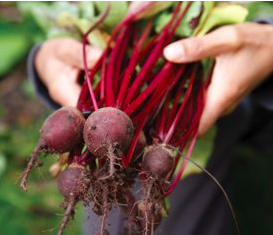 Red/Purple Produce is Best for our Weight and Heart