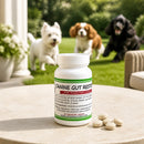 Life's Healthiest CANINE GUT RESTORE-1